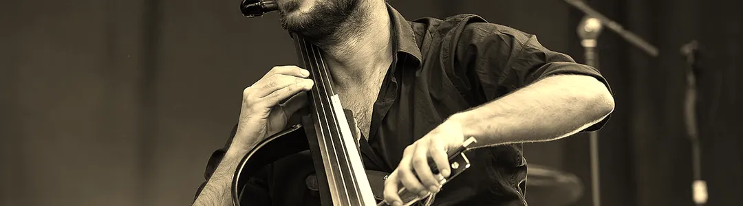 Hauser