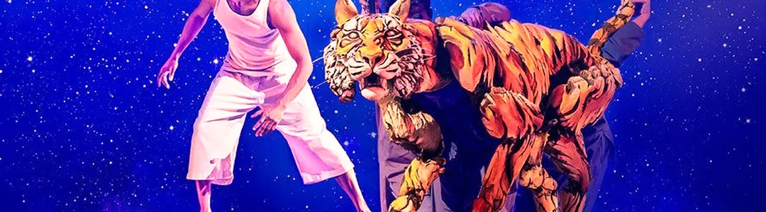 Life of Pi