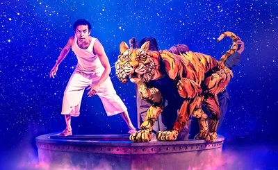 Life of Pi